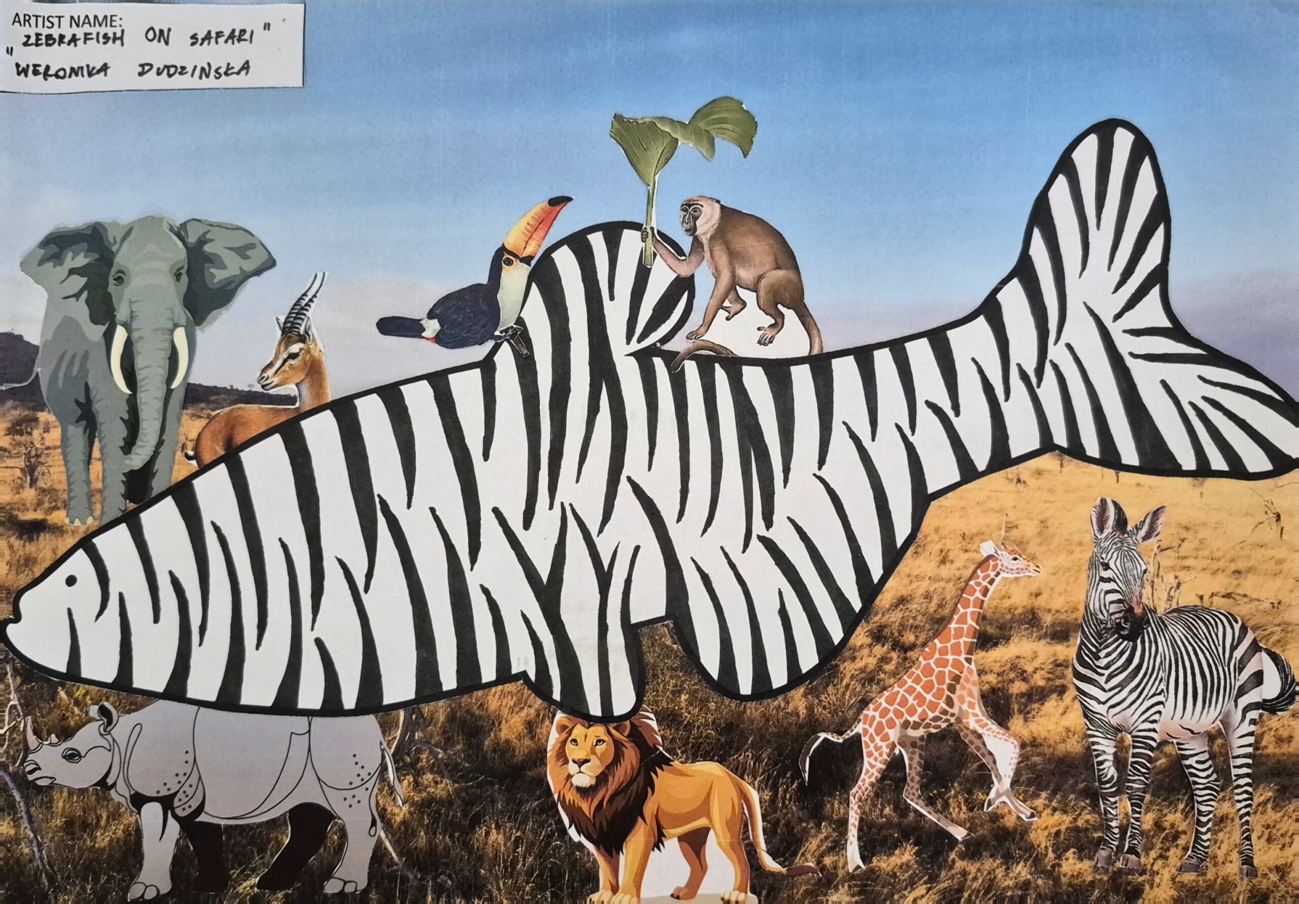 Zebrafish Art and Scientific Exchange: Strengthening Collaboration with the University of Edinburgh