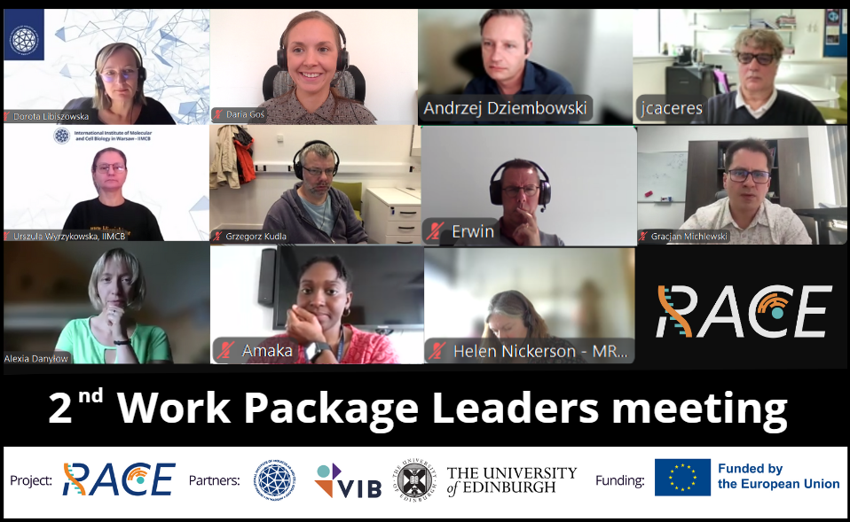 2nd RACE Work Package Leaders Meeting: Coordinating Excellence Across All Pillars