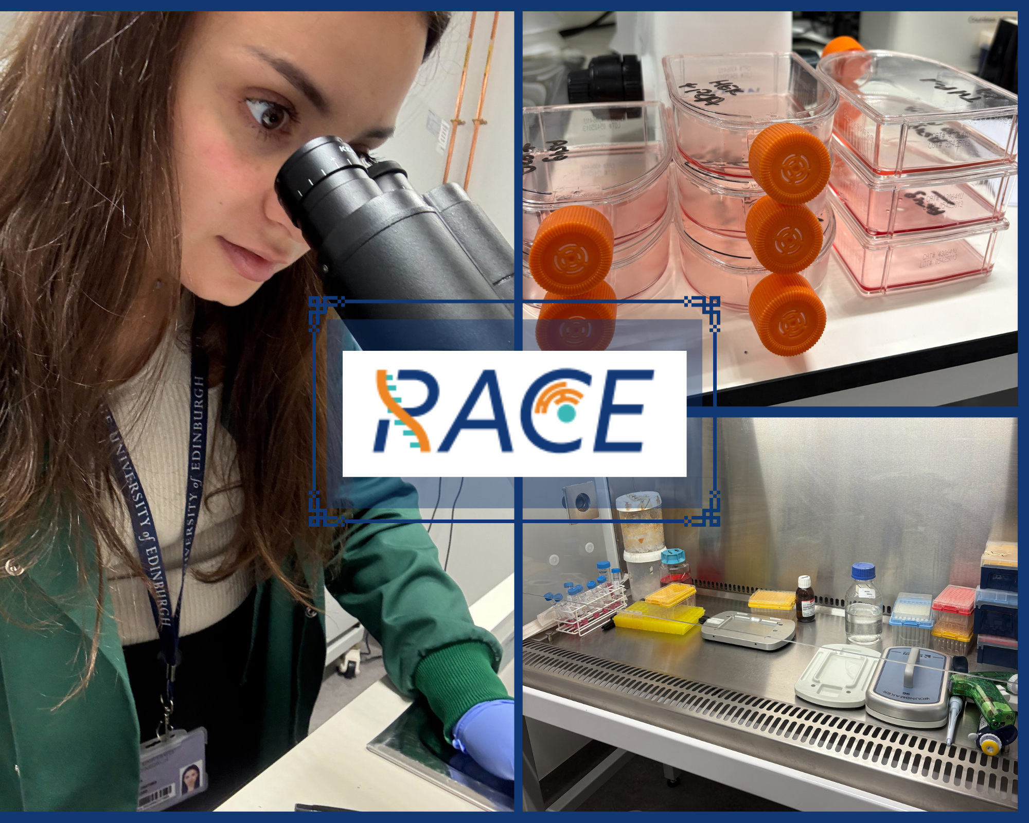 Another Research Stay in Edinburgh: Nathalie Shares Her Research Insights