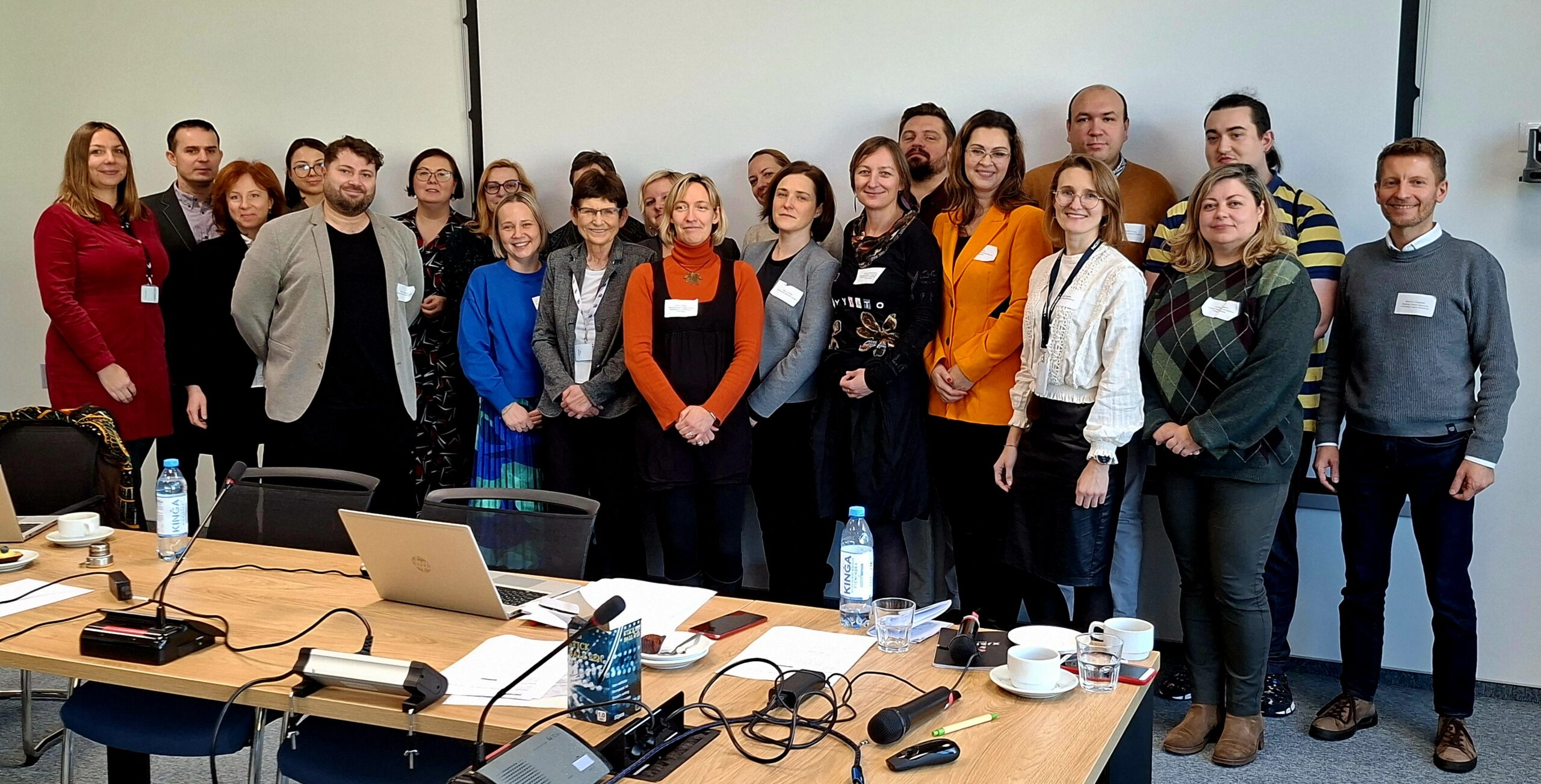 Participation in the Local Health HEU Contact Points Meeting