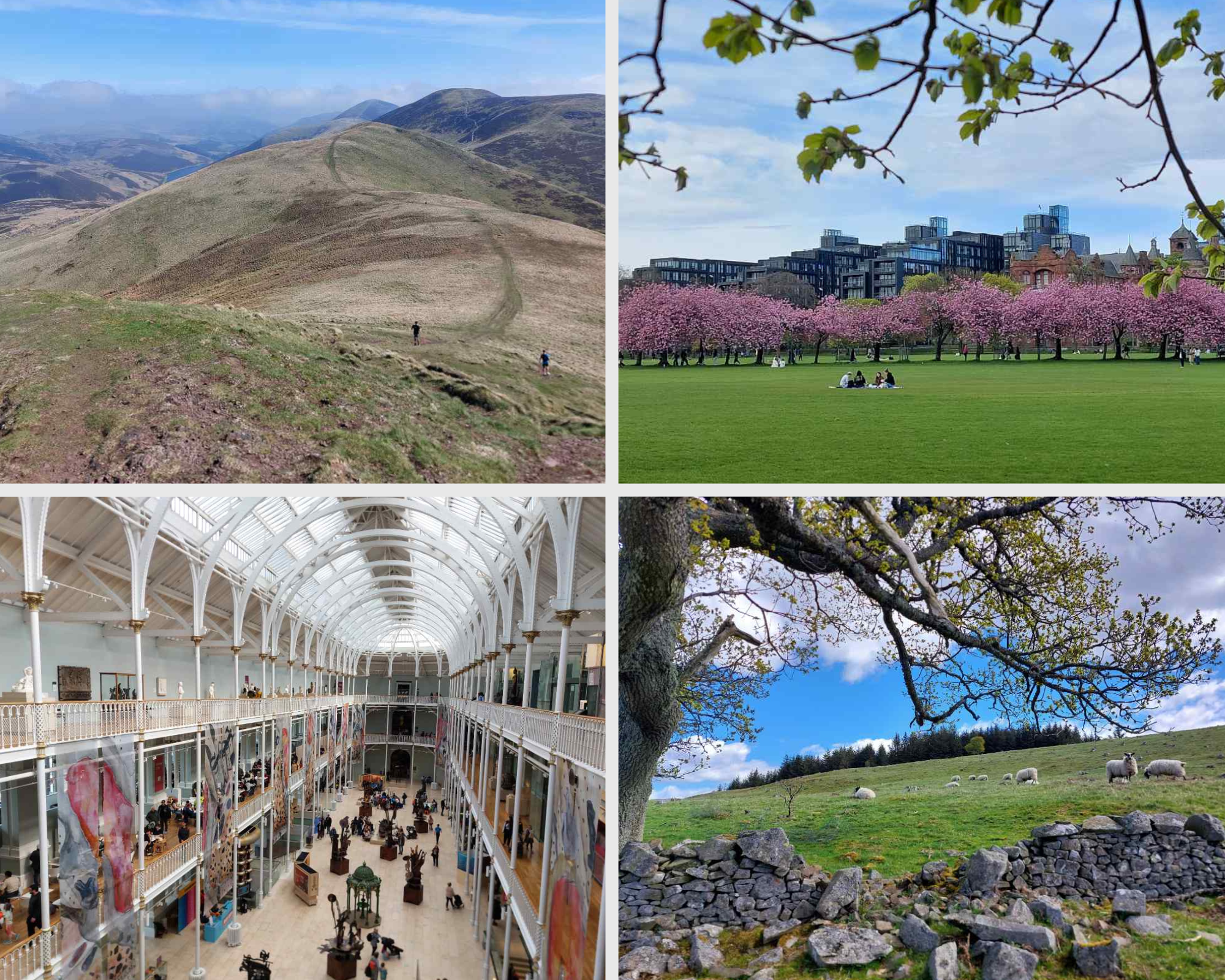New Paths in Cancer Research under Scotland’s Famously Changeable Skies