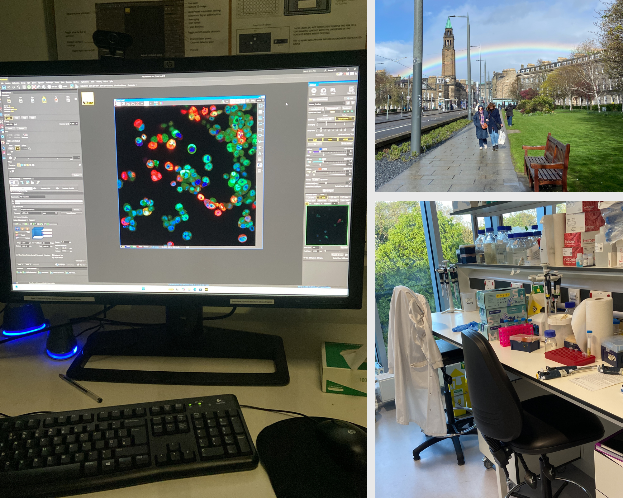 Advancing Proteostasis Research Through Genome Editing