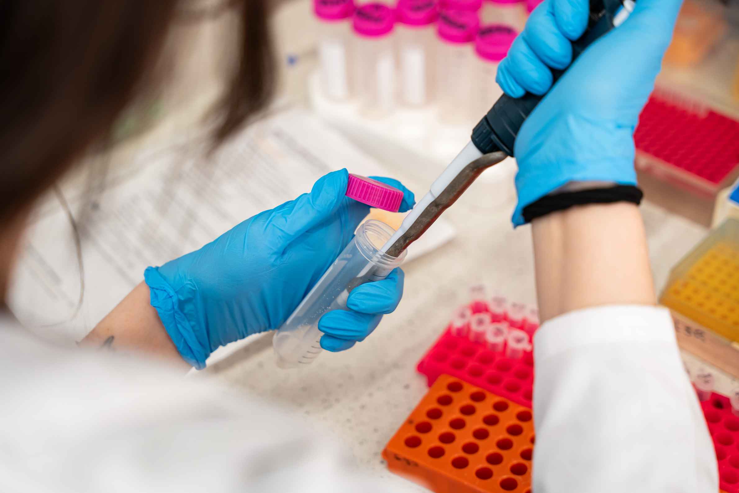 Job Opening at a New Laboratory at IIMCB